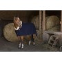 Couverture en Laine Equitheme