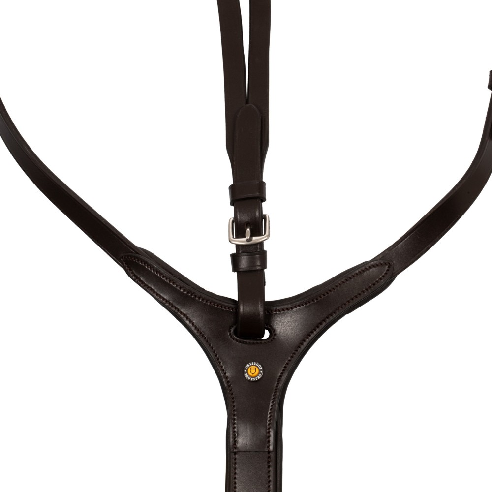 How To Use A Martingale Horse at David Prather blog