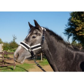 Ensemble Licol en Mouton et longe Flags&Cups