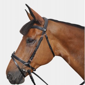 Bridon Cuir Complet Canter