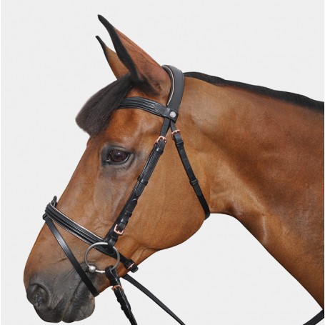 Bridon Cuir Complet Canter