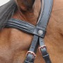Bridon Cuir Complet Canter