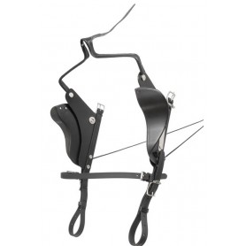 oeilleres descendante