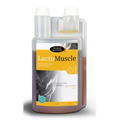 Lactomuscle Horse Master