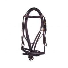 bridon cuir cob