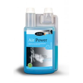 Air Power
