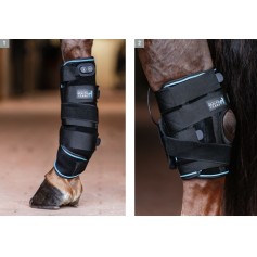 tapis dressage